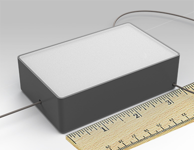 A cable seal, shown next to a ruler for scale. The length of the enclosure is about 3.375 inches. The body is gray plastic and the lid is white plastic. The cable is thin nylon-coated stainless steel.